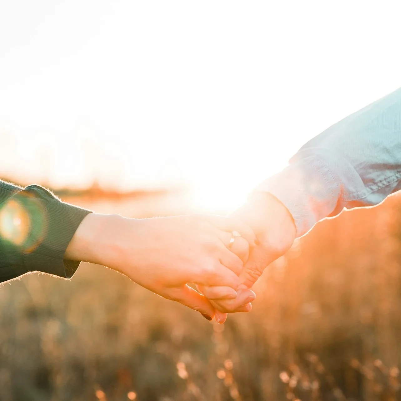 Close up of two hands holding in a field at sunset