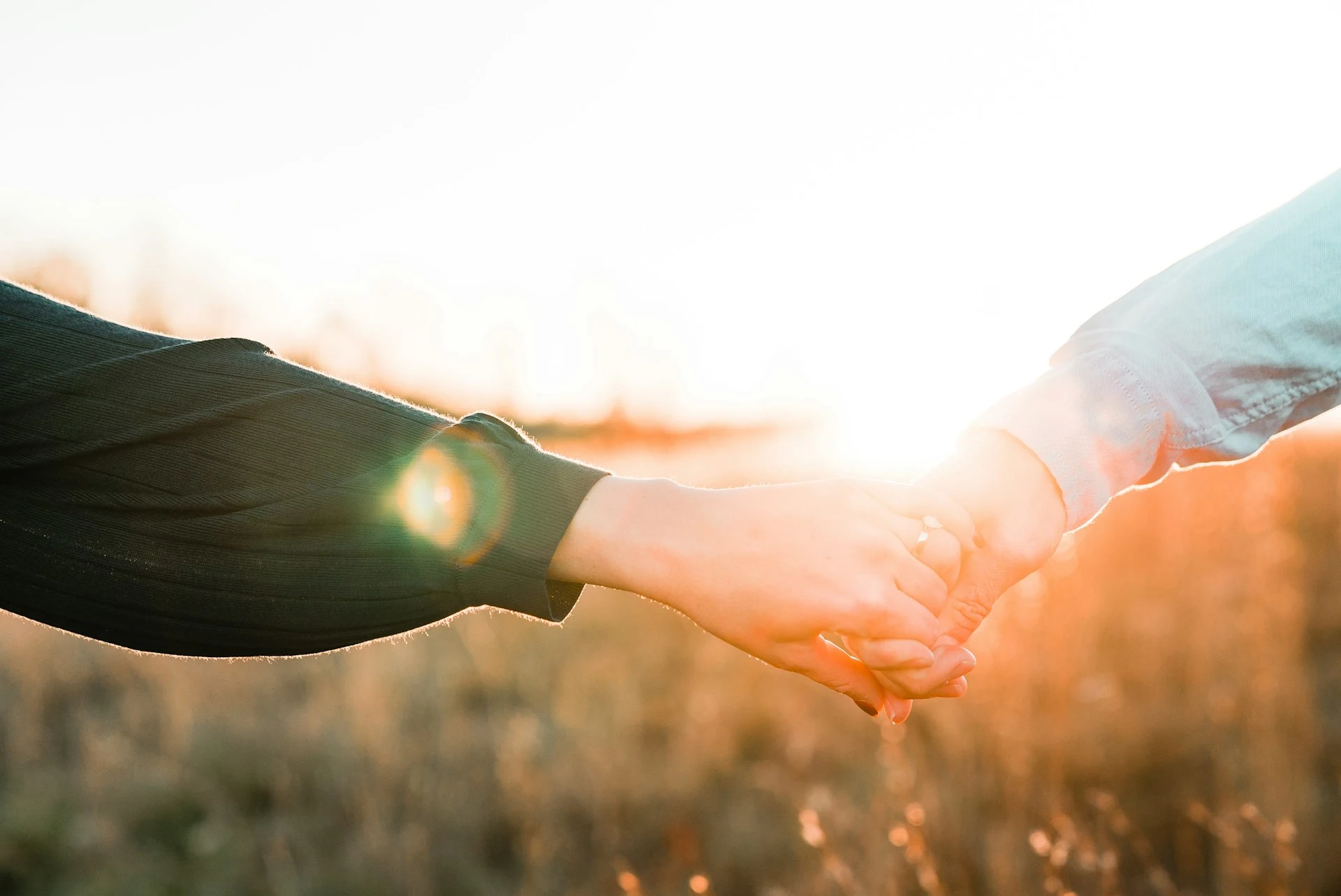 Close up of two hands holding in a field at sunset